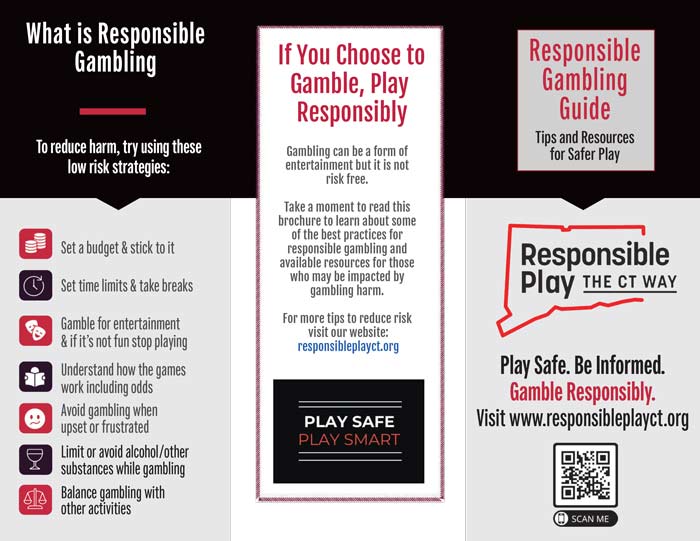 Perguntas frequentes sobre jogo responsável no Dragon Treasure